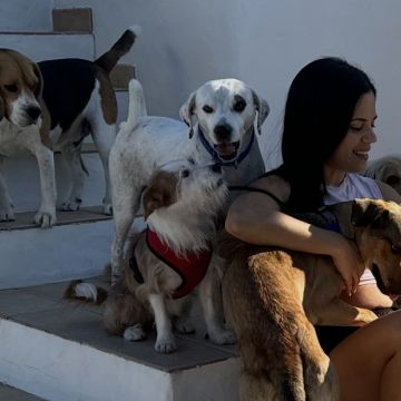 Pet Boutique Hotel - Setúbal - Hospedaje de gatos