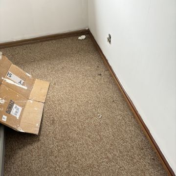 Liliana pinheiro - Arcos de Valdevez - Rug Cleaning