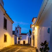 Pedro Manuel Ramalho Perdigão - Estremoz - Fotografía de mascotas
