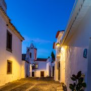 Pedro Manuel Ramalho Perdigão - Estremoz - Fotografia de Animais de Estimação