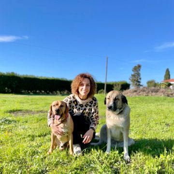Smartdogs - Montijo - Animal Training and Behavior Modification (Non-canine)
