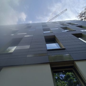 Chagas Construction Company - Amadora - Entfernung von Gebüsch- und Baumaufwuchs