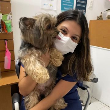 Lorena - Braga - Baths and Grooming for Animals