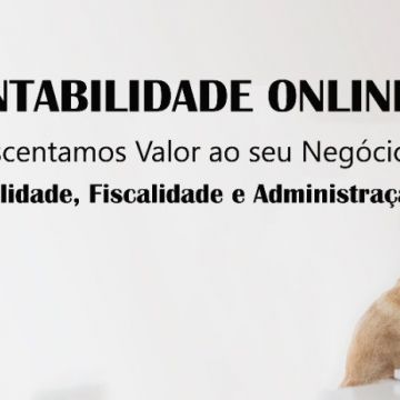 CONTABILIDADE ONLINE - Sintra - Introdução de Dados
