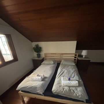 Liliana pinheiro - Arcos de Valdevez - House Cleaning (Recurring)