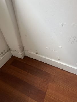 Spezialisten für Modernisierungen - Haus