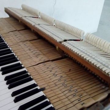 Osvaldo Fernandes Afinador de Piano/Piano tuner Algarve - Olhão - Reparação e Assist. Técnica de Equipamentos