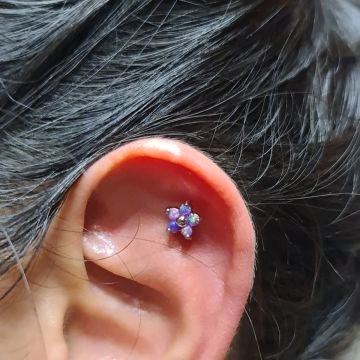 Blood Ink Tattoo Studio - Viseu - Piercer
