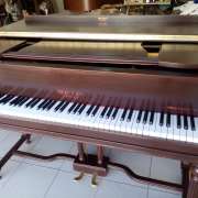 Afinador de Piano/Piano tuner - Algarve  Alentejo e Andaluzia ocidental - Olhão - Afinação de Piano