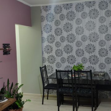 Ewerton CR - Sintra - Deep or Spring Cleaning
