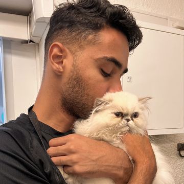 Maykon Alves - Cascais - Banhos e Tosquias para Animais