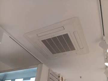 Wanderson paixão de Oliveira - Amadora - Rasenmäher reparieren