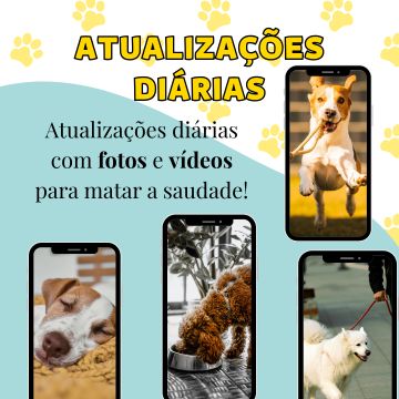 Ana Laura - Coimbra - Limpeza de Espaço Comercial