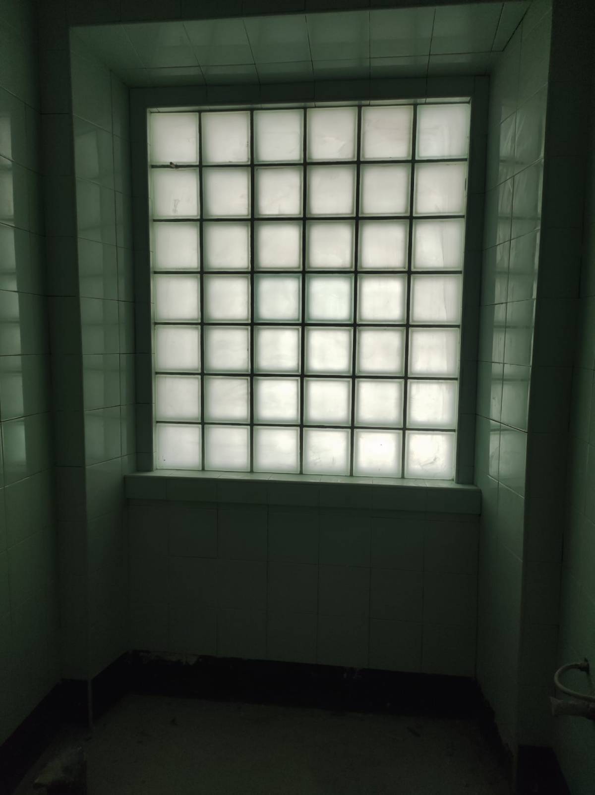 Gomes e sampaio - Oeiras - Skylights