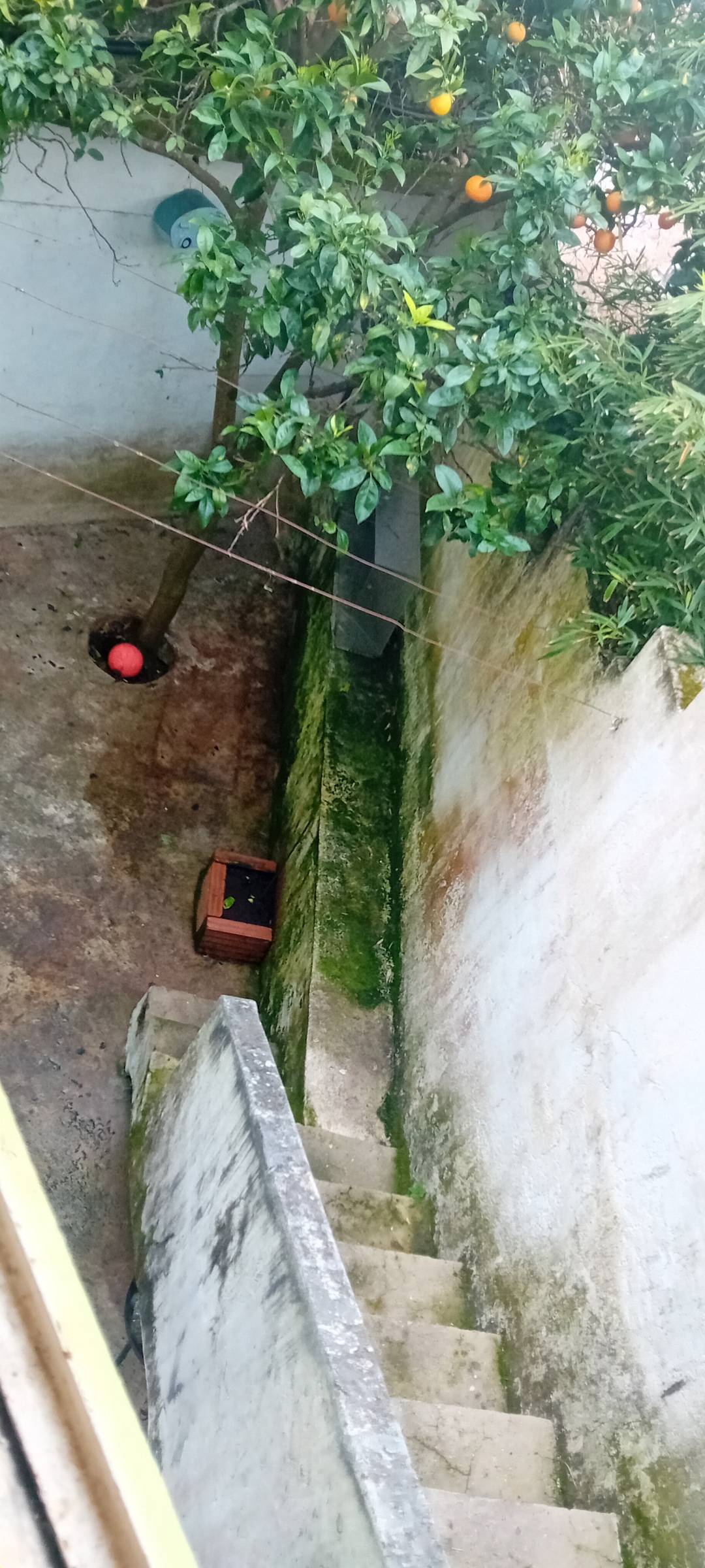 Luís Alves Multisserviços - Caldas da Rainha - Handyman