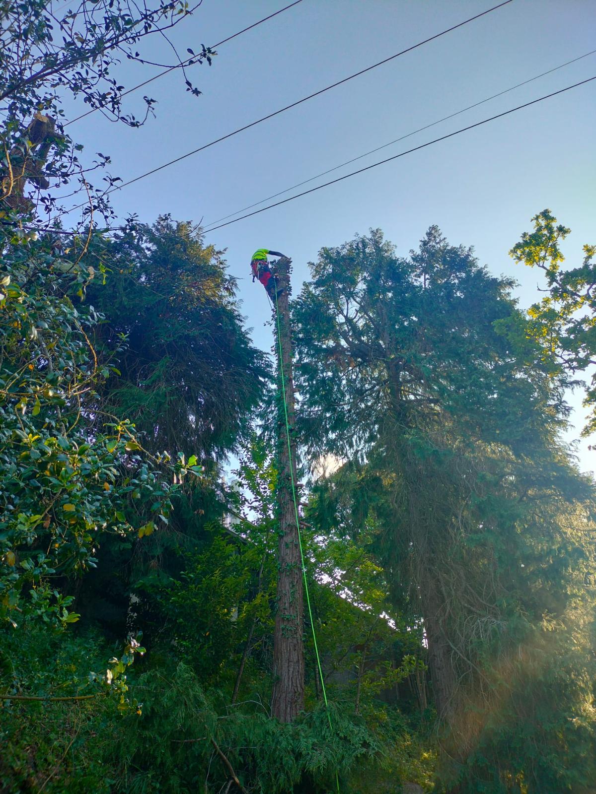 Vertical Nine - Almada - Outdoor Plumbing Repair or Maintenance