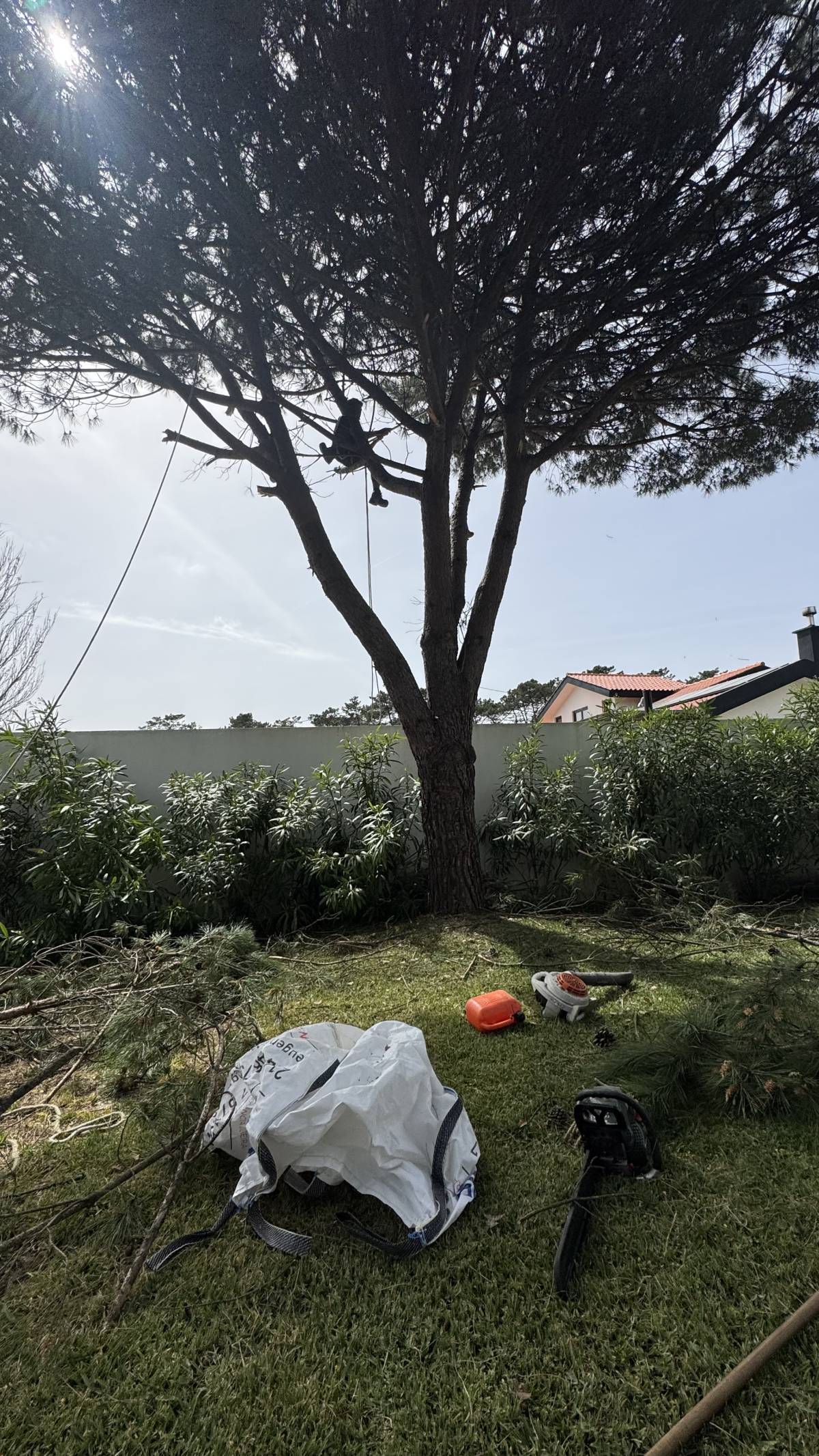 Ms Jardins LTDA - Cascais - Jardinage et pelouses