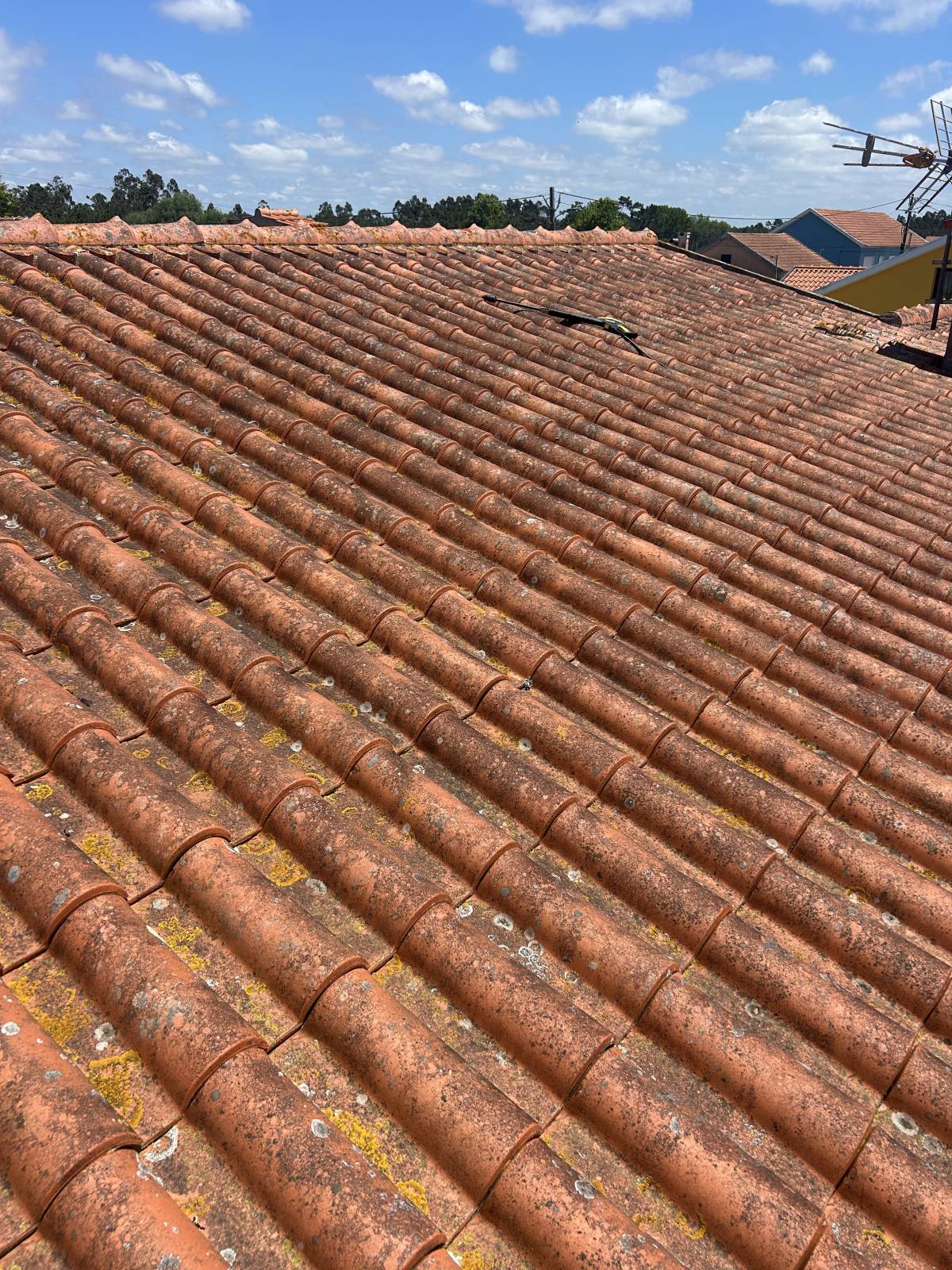 Lava Telha - Figueira da Foz - Nettoyage de toiture