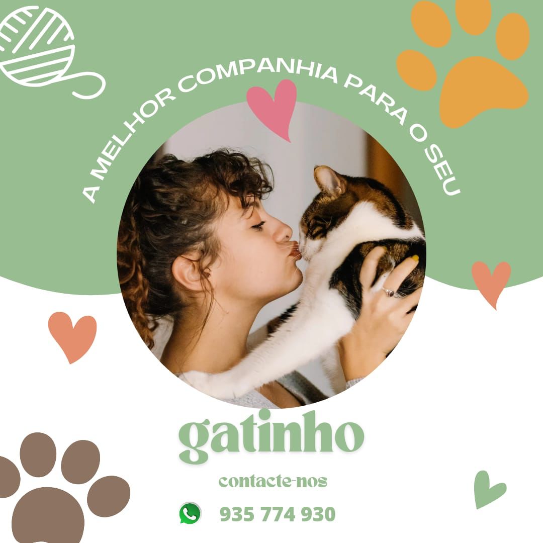@casadacatipet - Vila Nova de Gaia - Dog Sitting