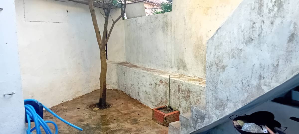 Luís Alves Multisserviços - Caldas da Rainha - Mold Inspection and Removal