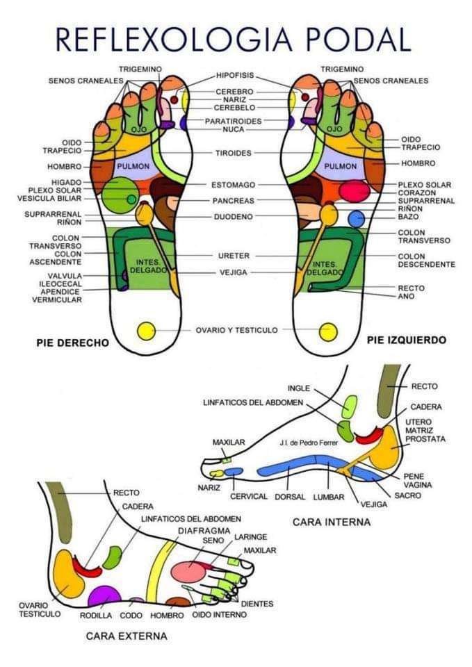 Marília Ferreira - Lin Shanti - Braga - Reiki Healing