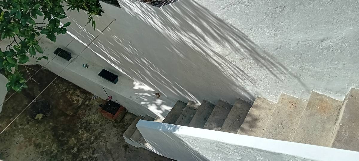 Luís Alves Multisserviços - Caldas da Rainha - Multi Service Lawn Care