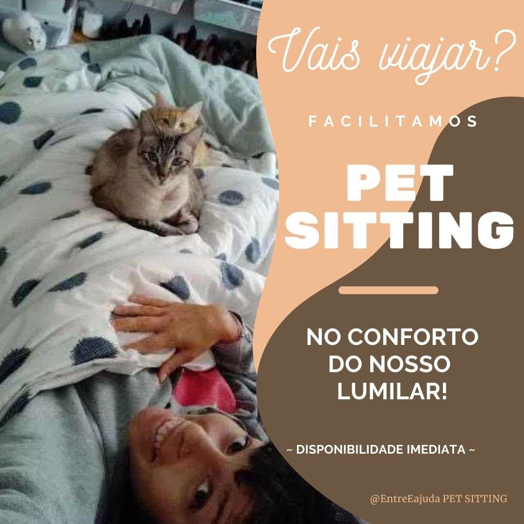 EntreEajuda PetSitting - Lisboa - Hotel para Gatos