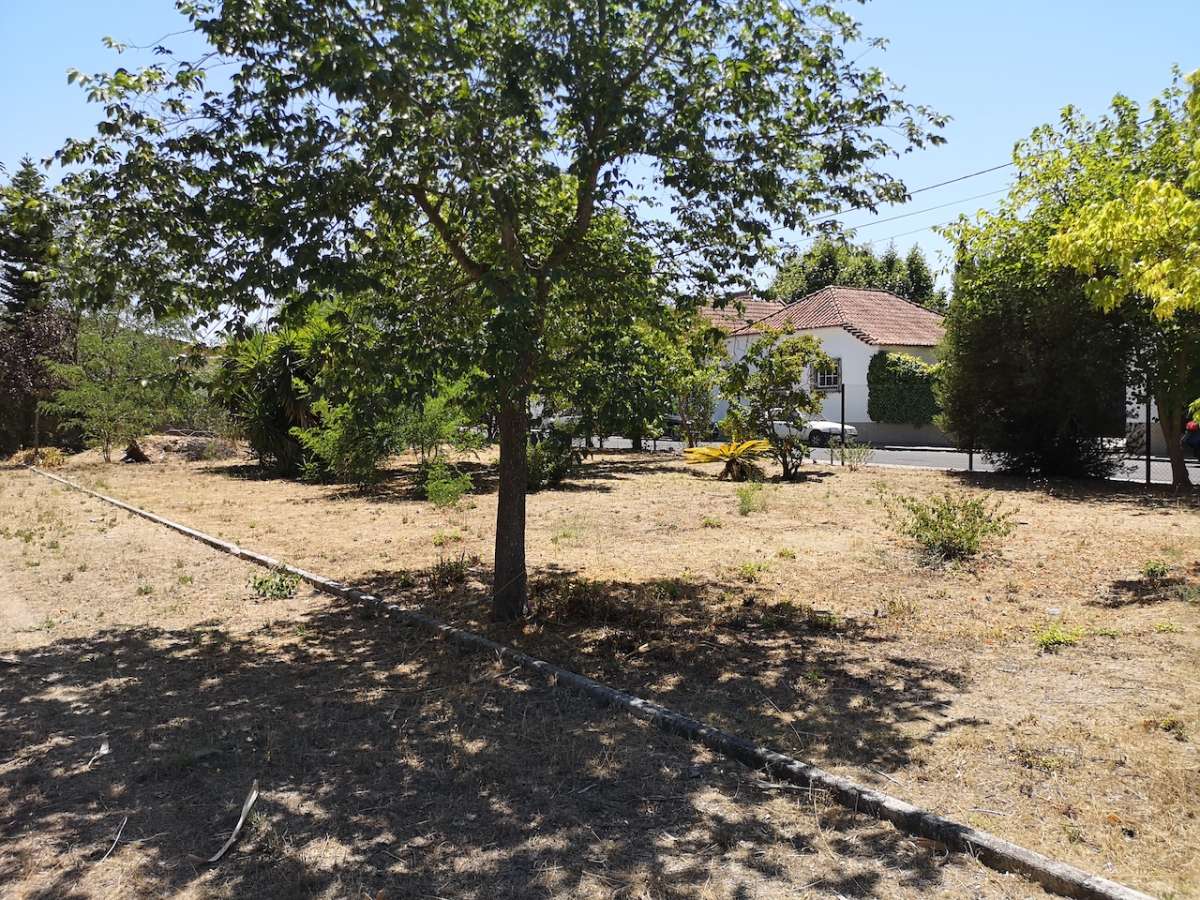 Vall Solutions - Sintra - Property Cleanup