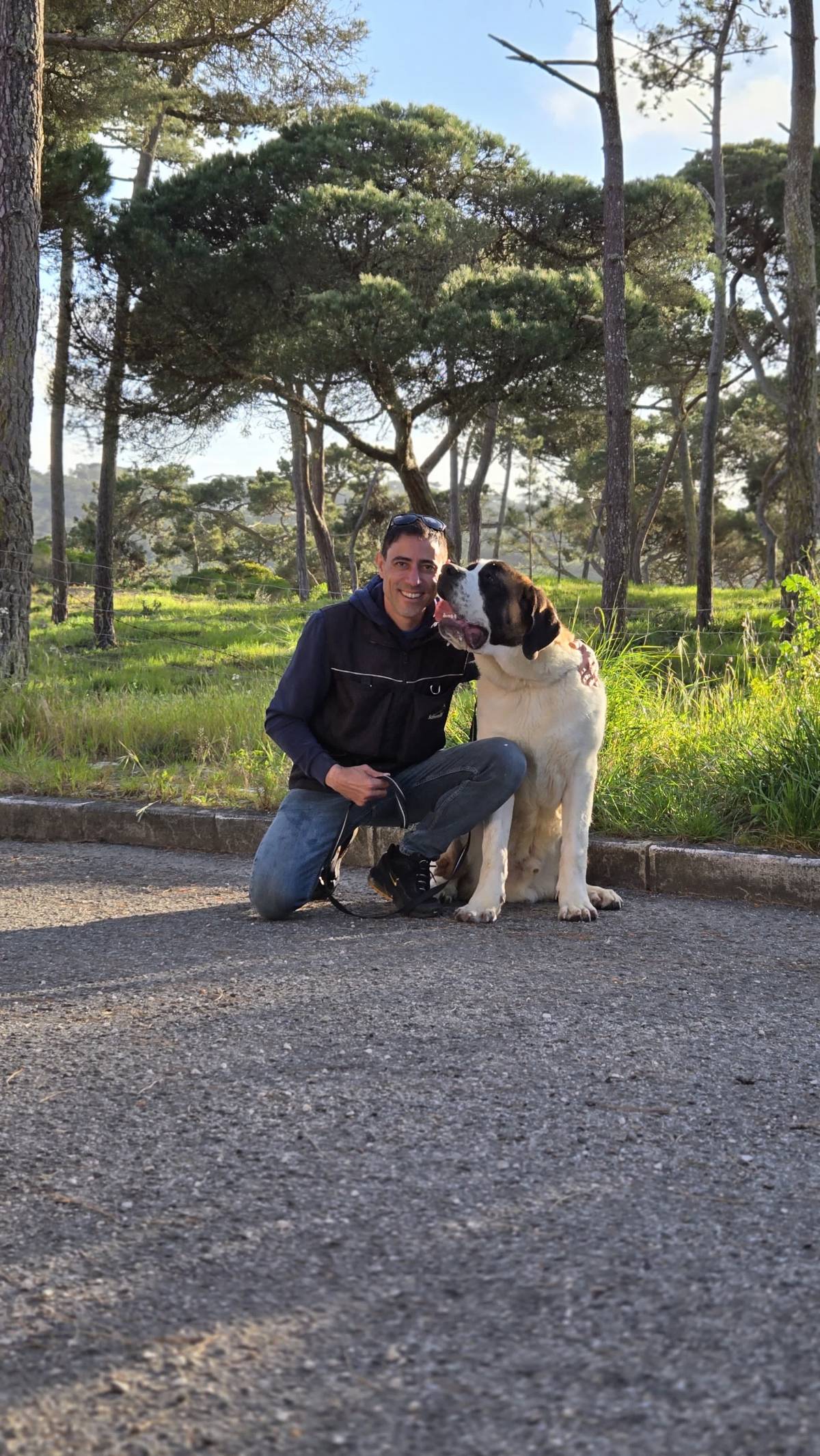 Joao Marto - Odivelas - Treino de Cães - Aulas