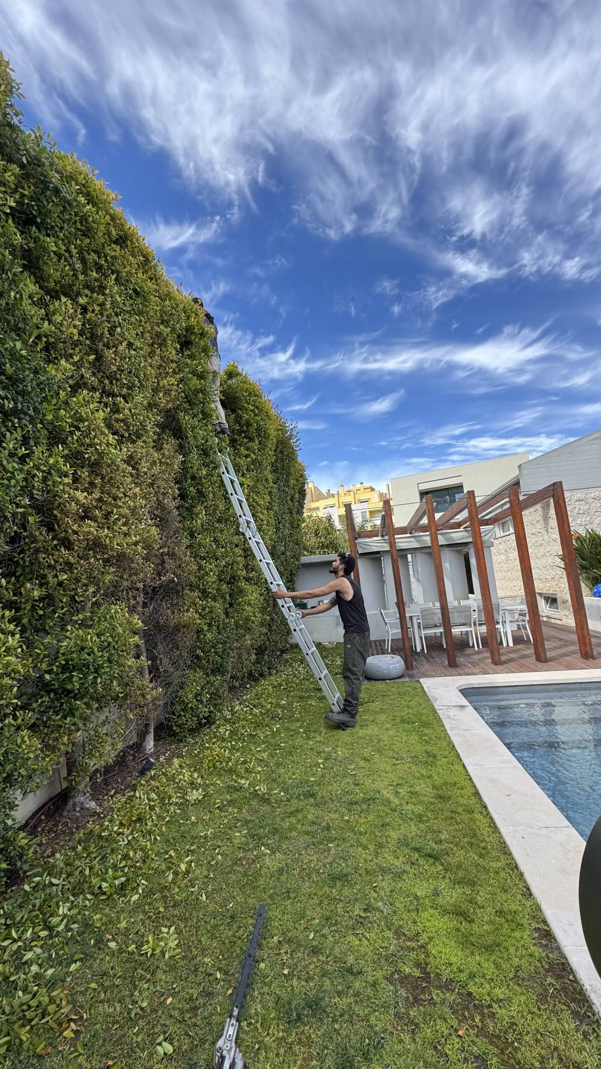 Ms Jardins LTDA - Cascais - Jardinage