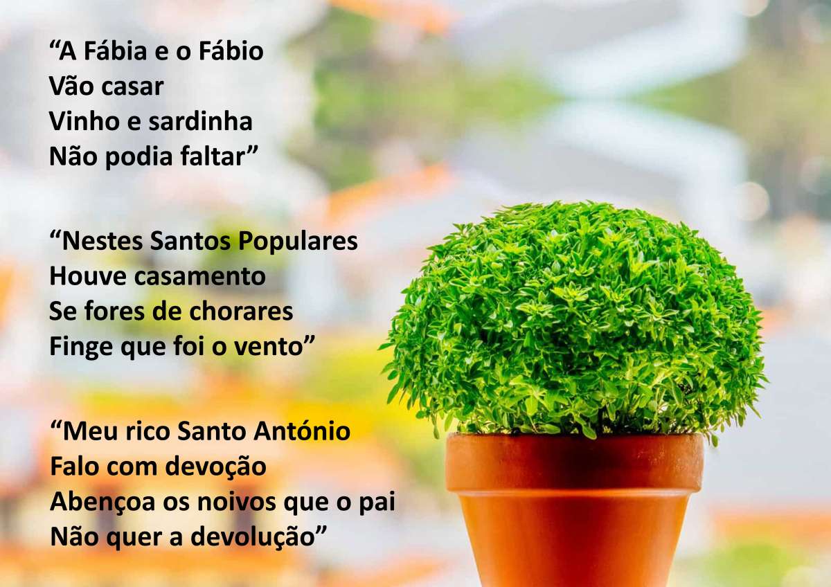Ana Dias - Criativa - Leiria - Presentation Services