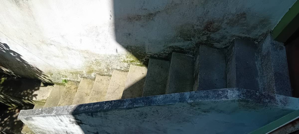 Luís Alves Multisserviços - Caldas da Rainha - House Movers (under 50 miles)