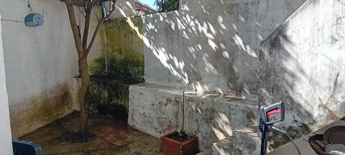 Luís Alves Multisserviços - Caldas da Rainha - Rug Cleaning
