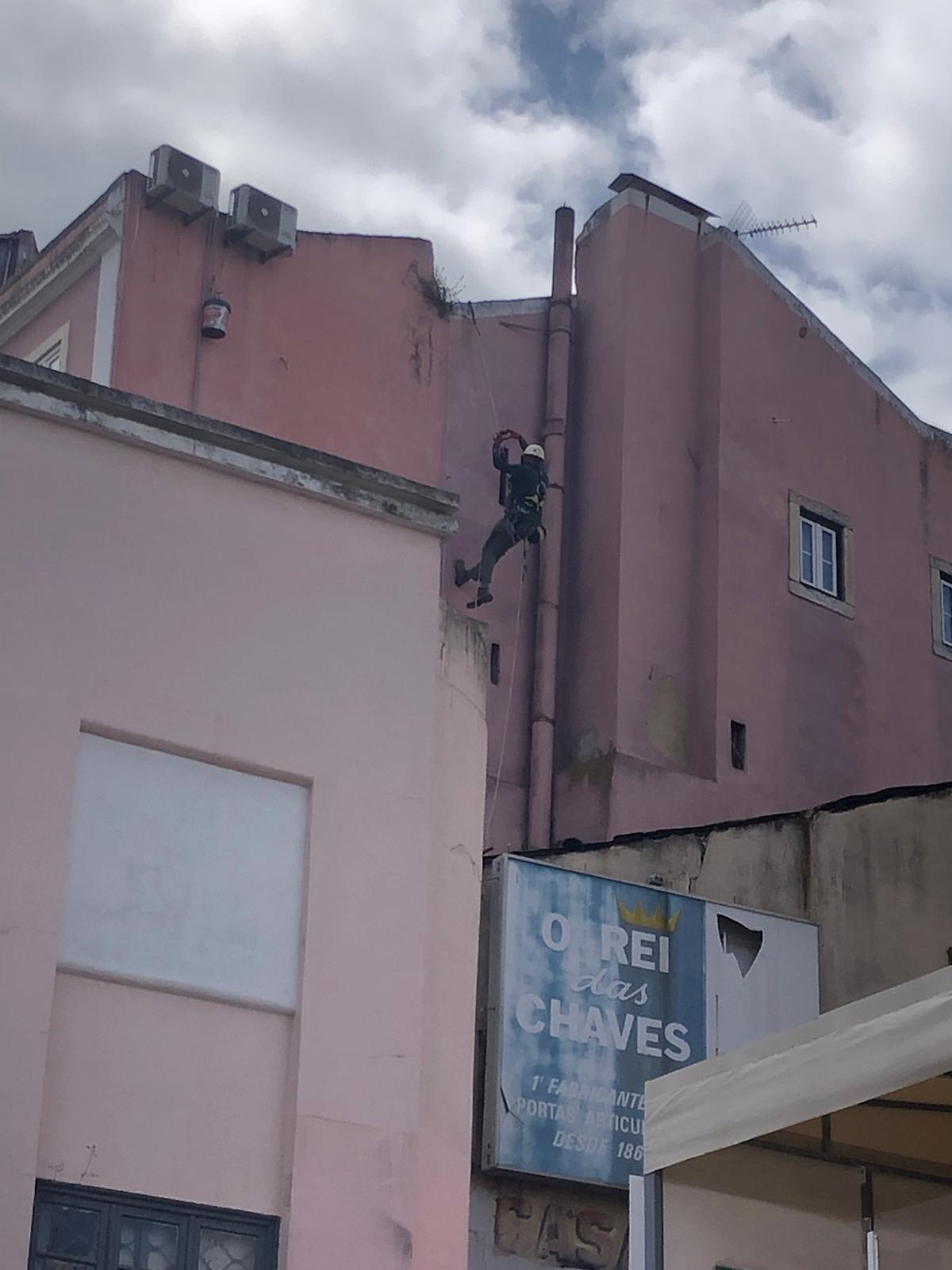 Vertical Nine - Almada - Tree Trimming and Maintenance