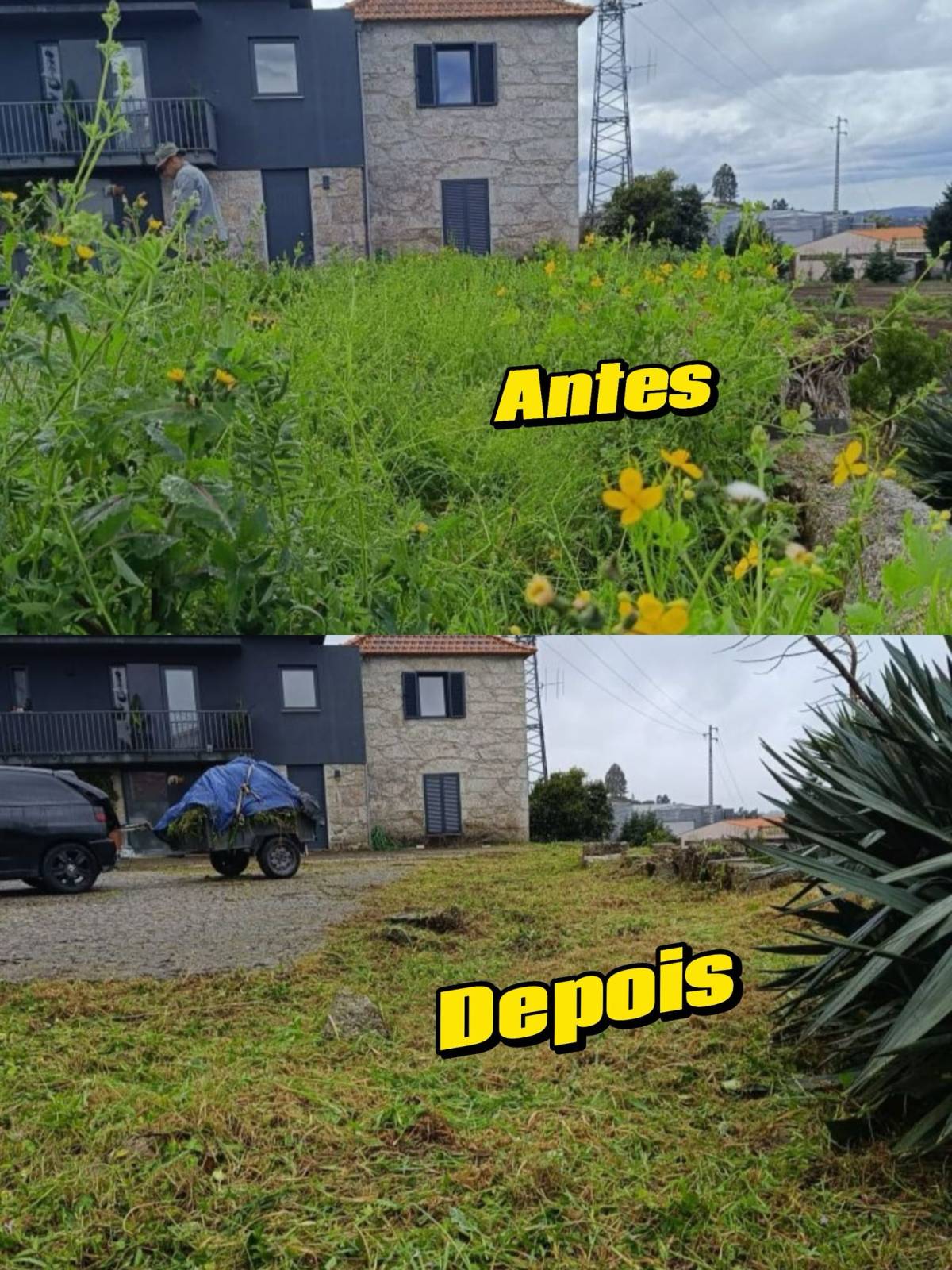 Pedro Seabra - Paredes - Remoção de Arbustos