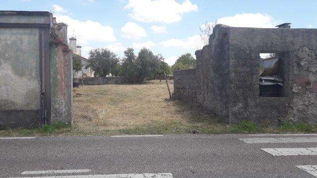 Vall Solutions - Sintra - Waste Removal