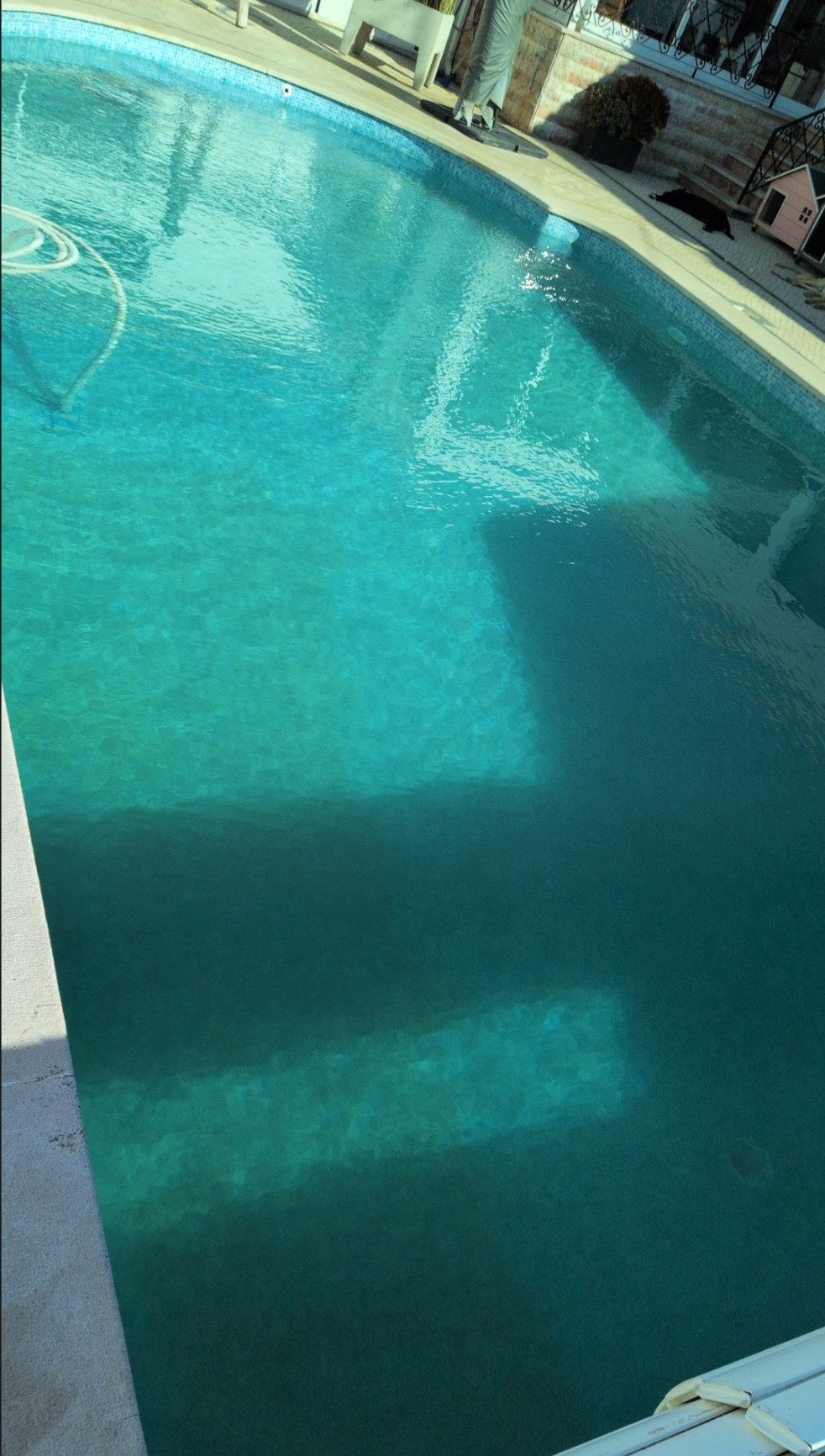 Scandic Pool Clean - Oeiras - Swimmingpool reparieren