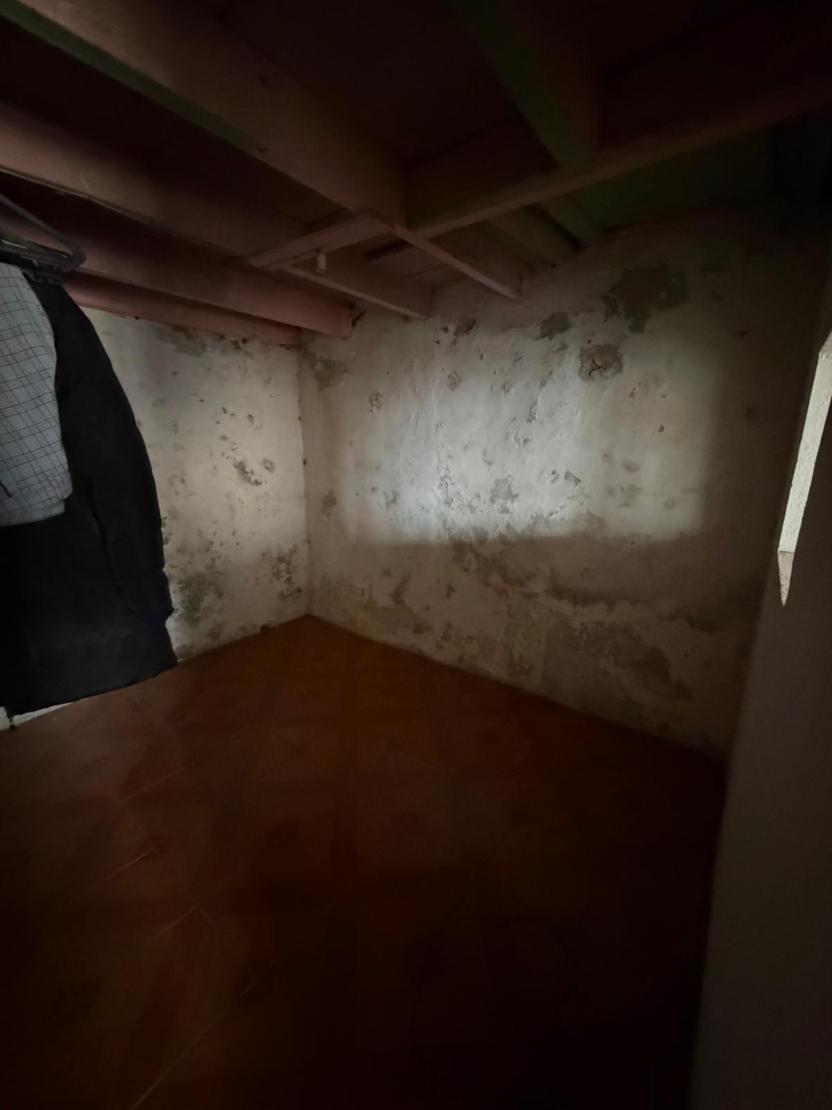 Antonio Vasconcelos - Aveiro - Insulation