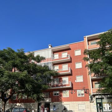 Rafael Conceição - Odivelas - Demolição de Construções