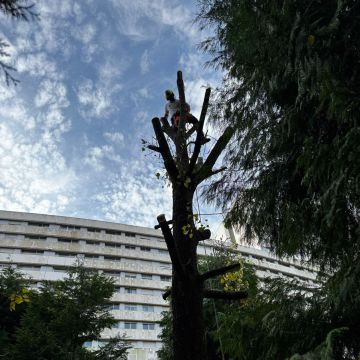 Rúben Dias - Vila Nova de Gaia - Colocação de Pedra