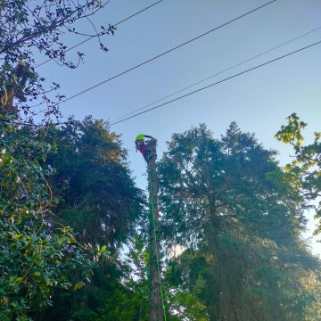 Vertical Nine - Almada - Outdoor Plumbing Repair or Maintenance
