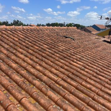 Lava Telha - Figueira da Foz - Nettoyage de toiture