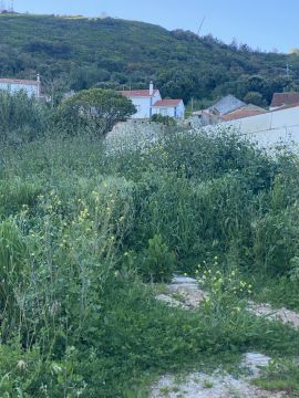 Limpeza de Terrenos - Jardinagem e Relvados