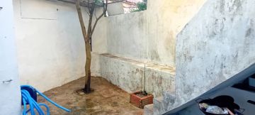 Luís Alves Multisserviços - Caldas da Rainha - Mold Inspection and Removal