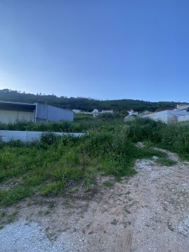 Jardinagem e Relvados