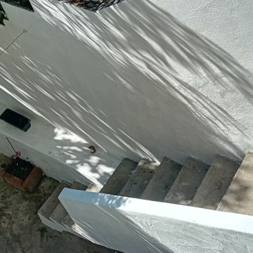 Luís Alves Multisserviços - Caldas da Rainha - Multi Service Lawn Care