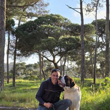 Joao Marto - Odivelas - Treino de Cães - Aulas