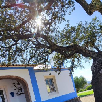 JCSA PINTURAS - Almodôvar - Roofing