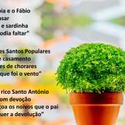 Ana Dias - Criativa - Leiria - Presentation Services