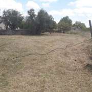 Vall Solutions - Sintra - Cleaning Out